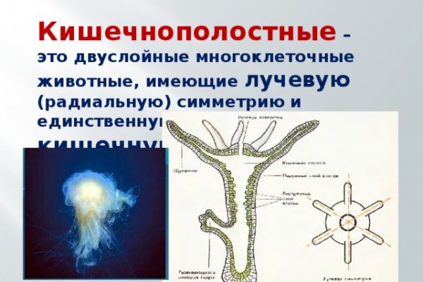Kraken сайт kraken torion