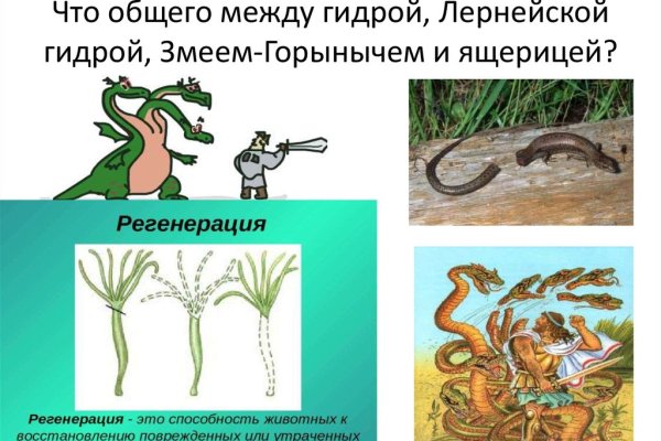 Кракен тг ссылка
