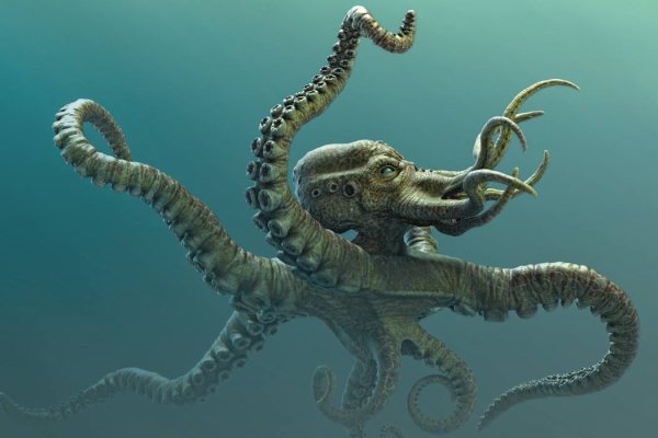 Как зарегистрироваться в kraken