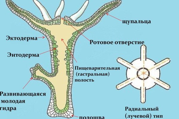 Ссылки зеркала на kraken