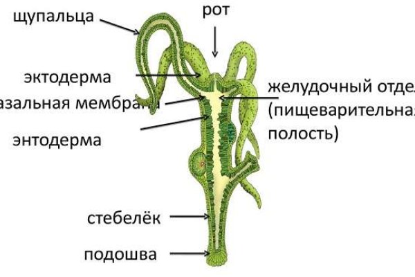 Как открыть ссылку с кракена